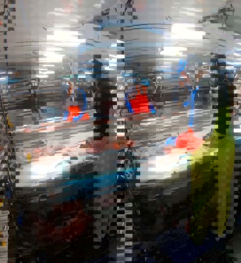 Carsoe Trimming Line Live 1