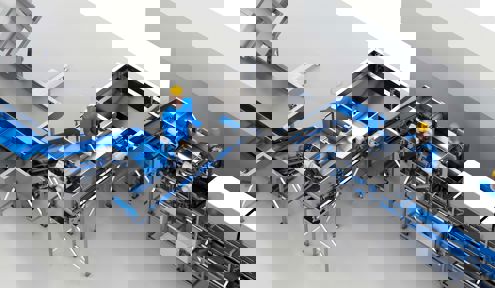 Carsoe Automated Packing and Freezing Line 2