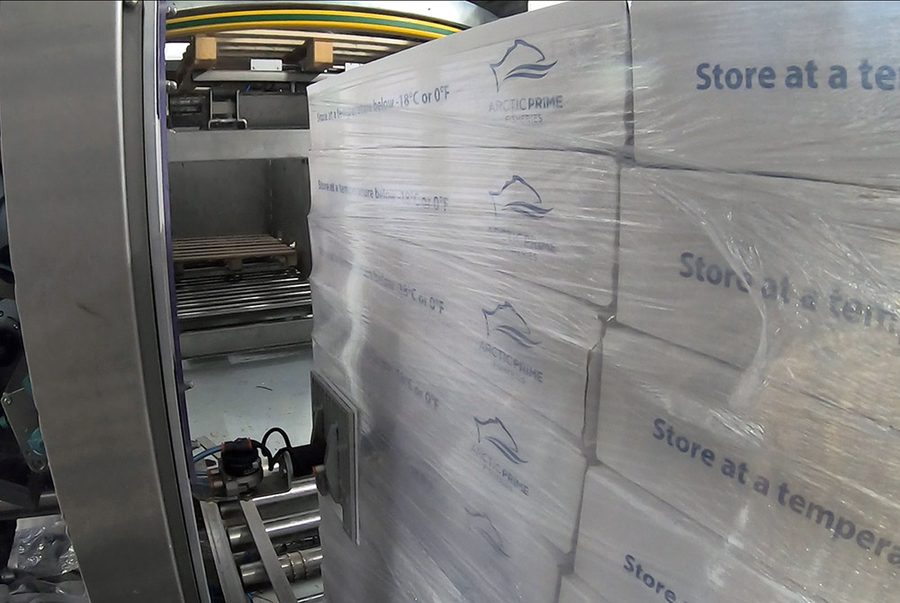 Carsoe CS4000 Palletizing Machine (CS4000 Palletizer)