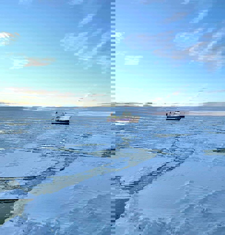 Carsoe onboard seafood processing