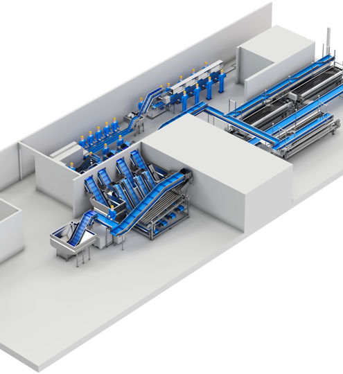 Carsoe Compact Fish Processing And Packing Illustration 1