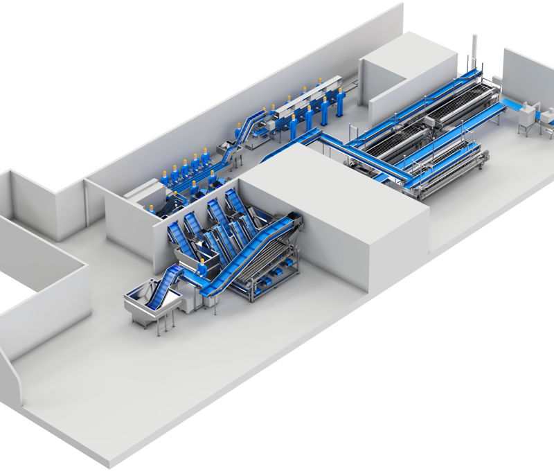 Carsoe Compact Fish Processing And Packing Illustration 1