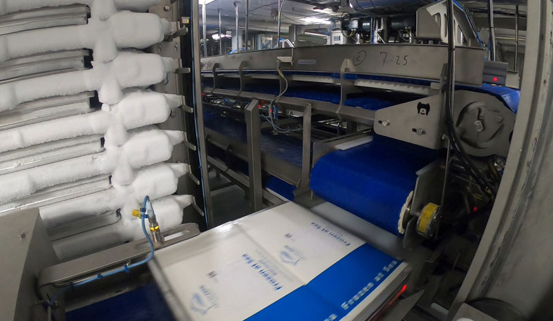 Carsoe Automatic Horizontal Plate Freezer