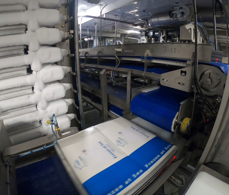 Carsoe Automatic Horizontal Plate Freezer
