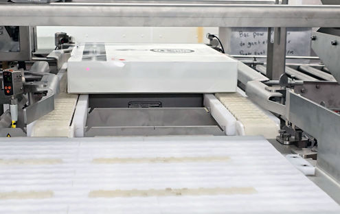 Carsoe Check Weigher CS3047