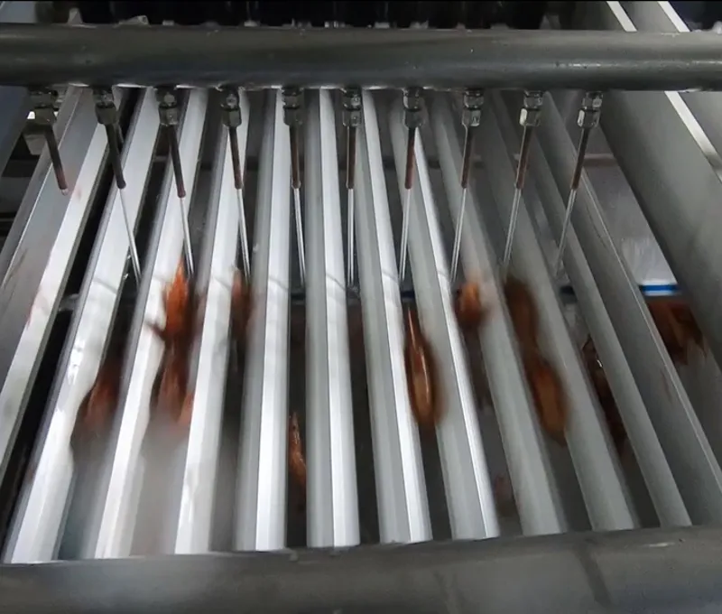 Carsoe Shrimp Grader CS1014