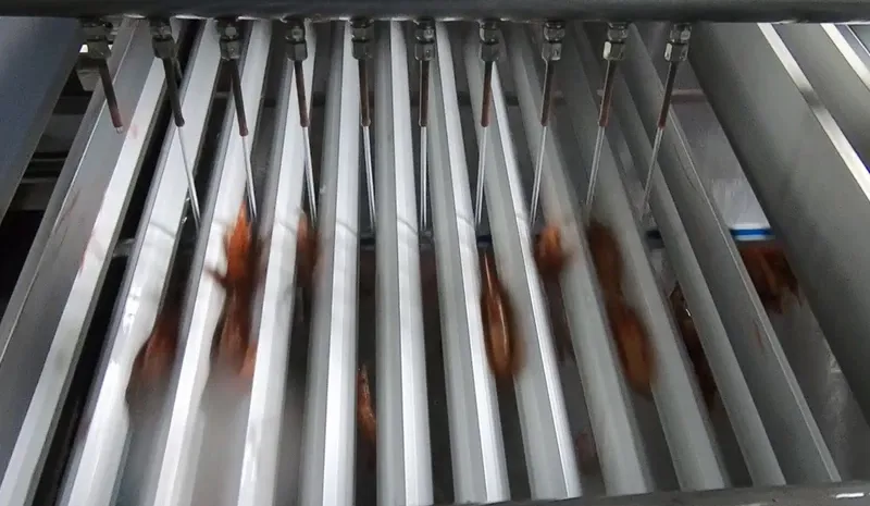 Carsoe Shrimp Grader CS1014