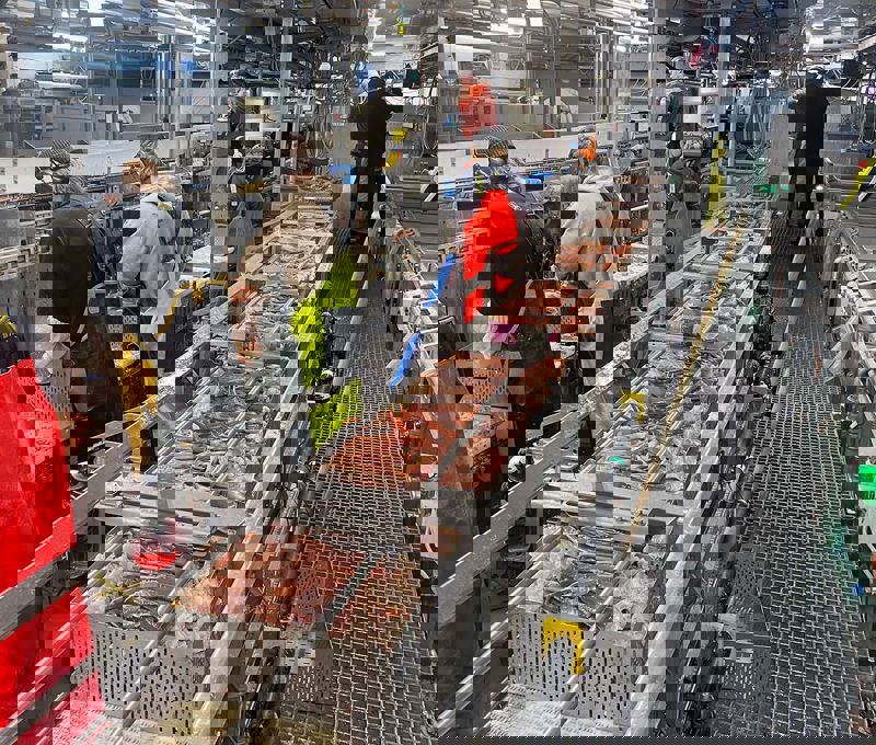 Frøyanes Onboard Crab Processing