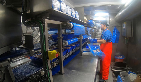 Carsoe Packing Line for Freezing Frames Live 2