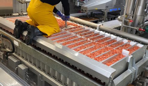 Manuel Pressing of Shrimp in Vertical Plate Freezers