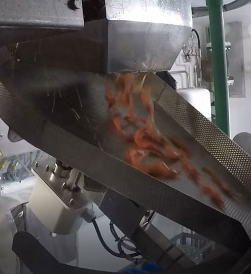 Carsoe Connie Cooker 800