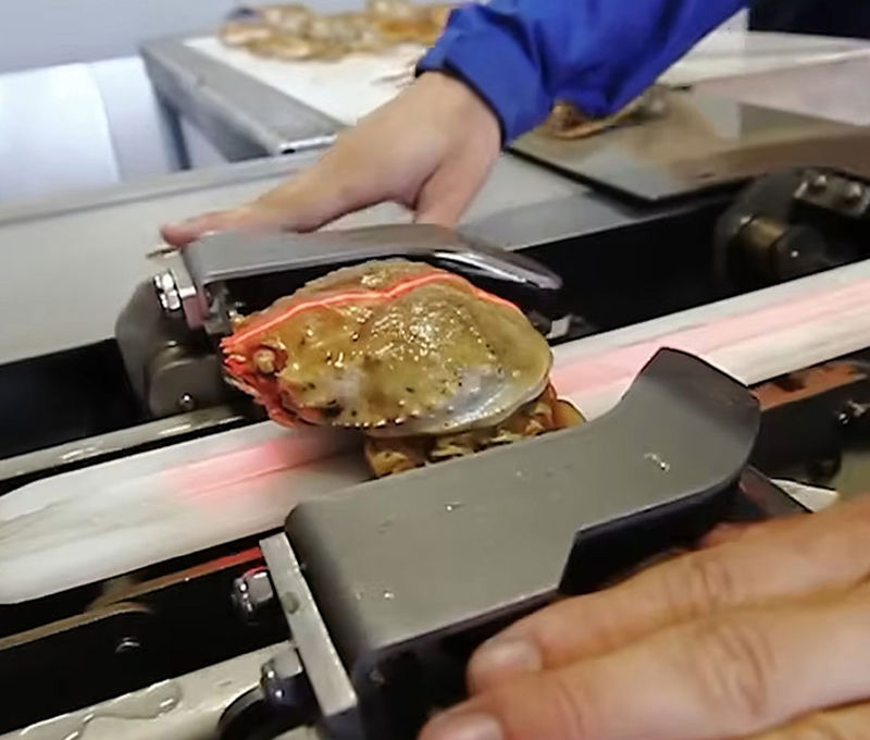 Automatic Crab Butcher Machine