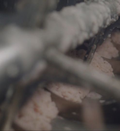 Carsoe Surimi Processing 