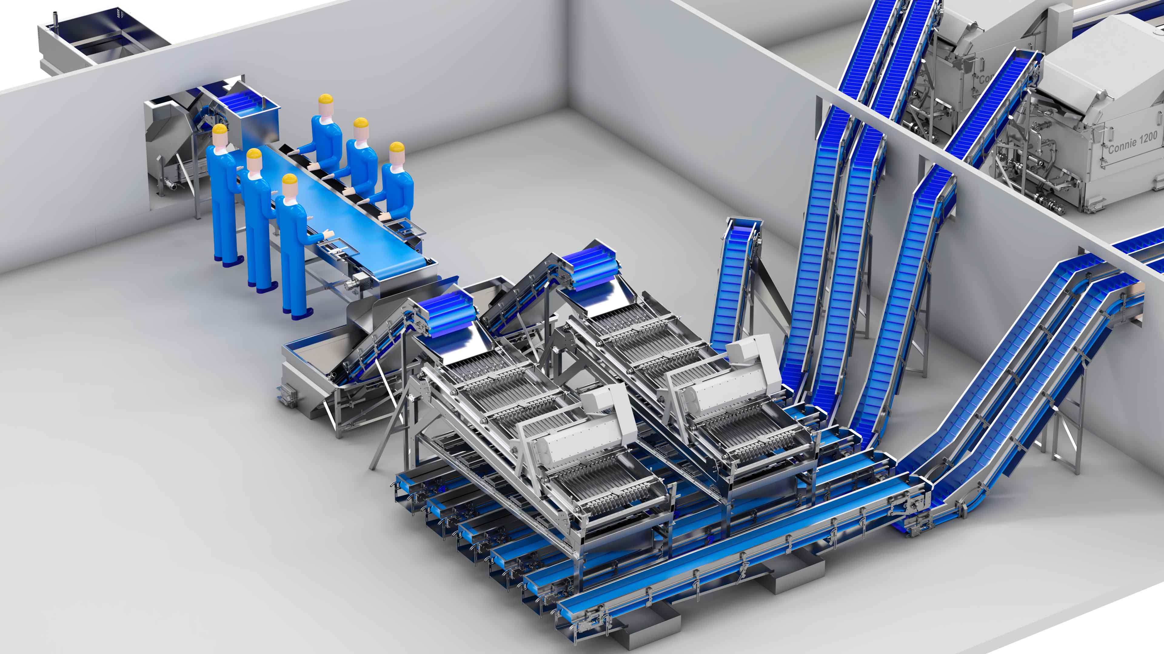 Carsoe Warmwater Shrimp Full Layout 2