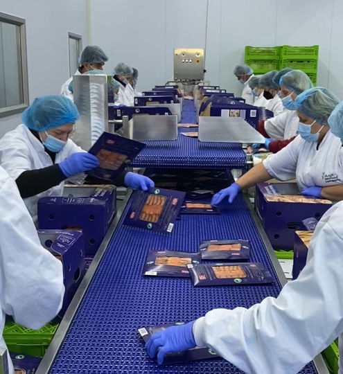 Carsoe Landbased Salmon Processing