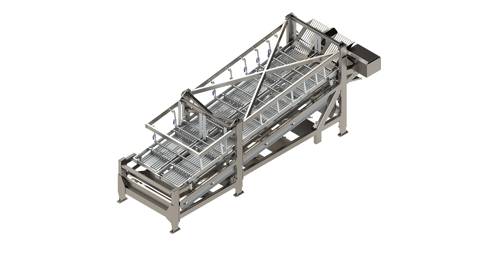CS1014 Shrimp Grader
