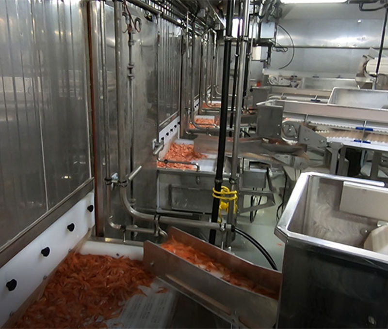Carsoe IQF Freezer