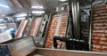 shrimp conveyor system