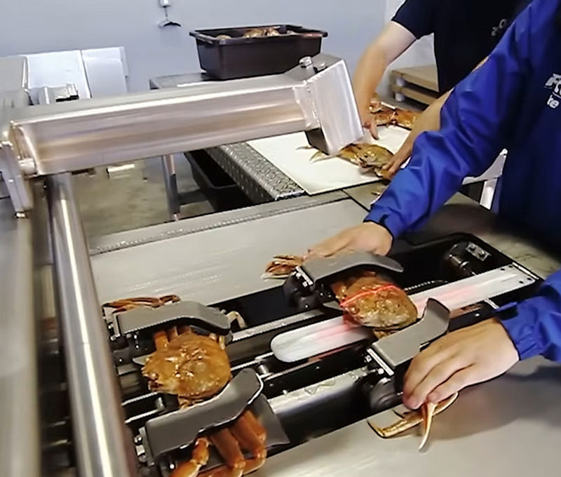 Automatic Crab Butcher Machine