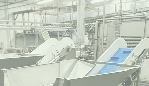 Poultry Processing System