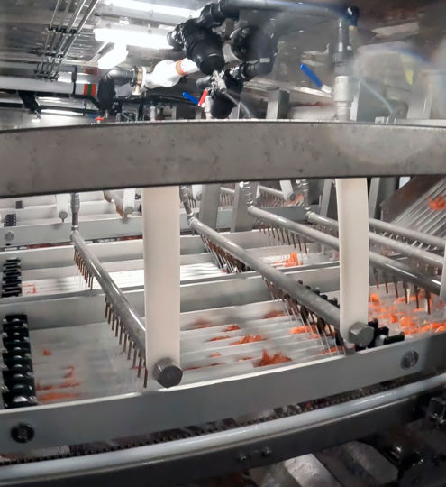 Carsoe Shrimp Grader CS1014