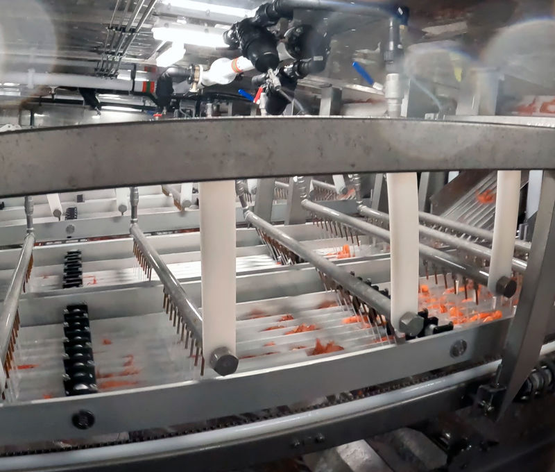 Carsoe Shrimp Grader CS1014