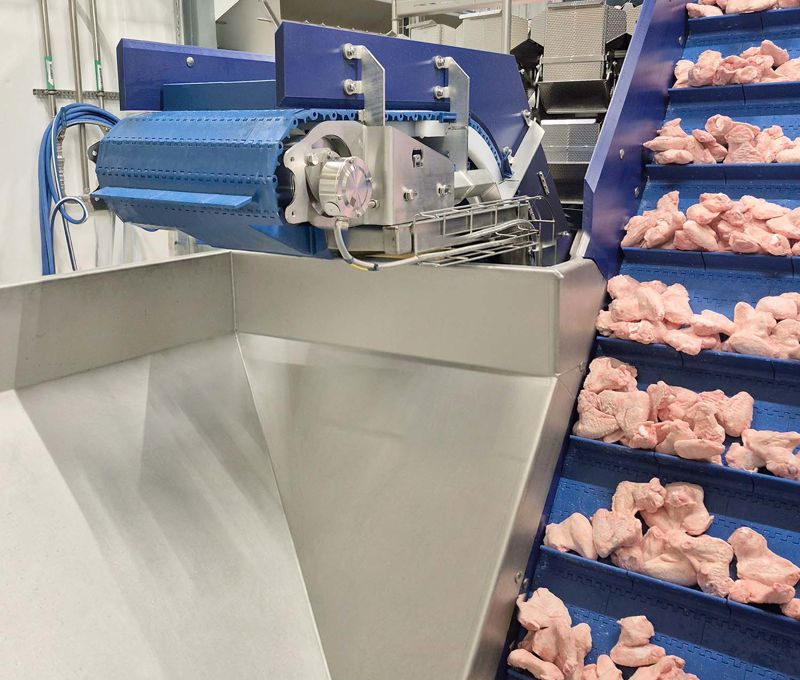 Poultry Processing Equipment - Carsoe