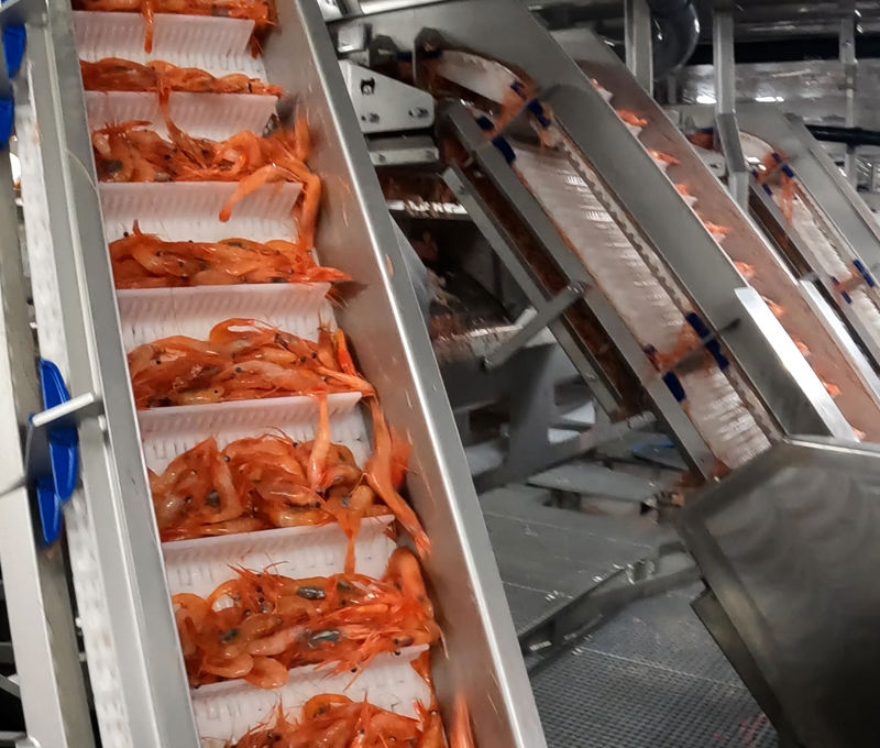 Carsoe Onboard Conveyor System Japan Nataarnaq