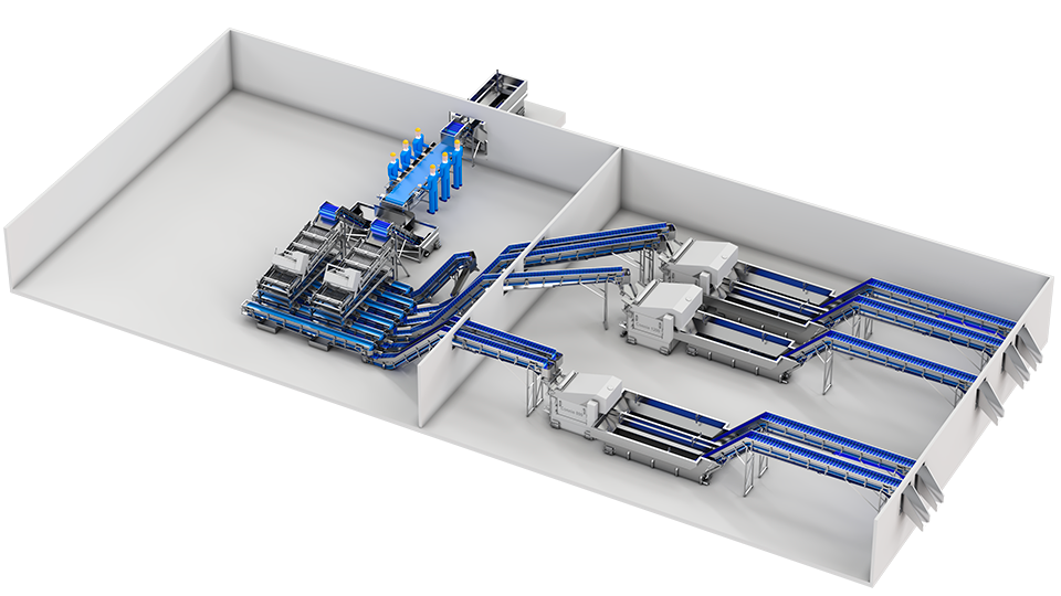 Carsoe Warmwater Shrimp Full Layout 3