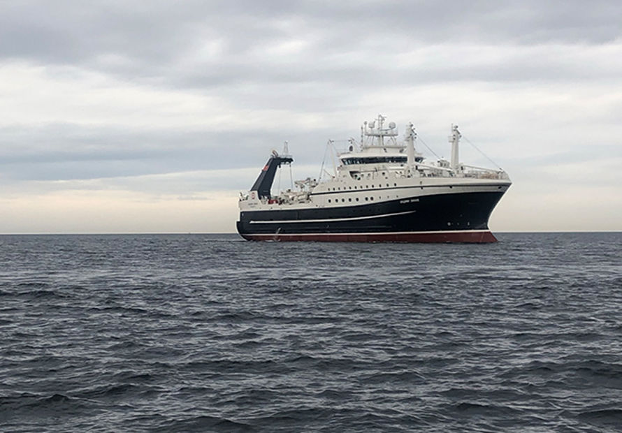 Carsoe Onboard Pollock and Surimi Factory