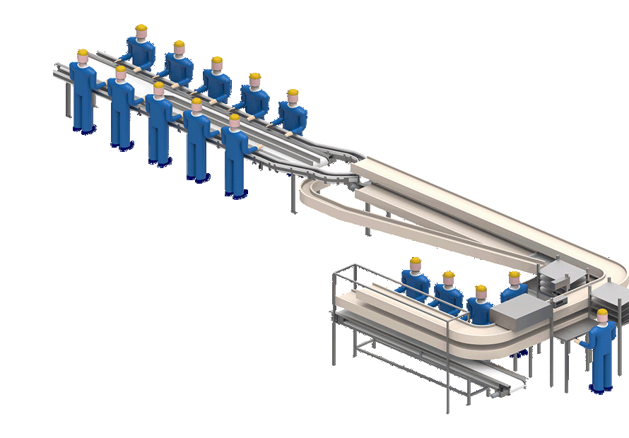 Carsoe Roe Sorting Line