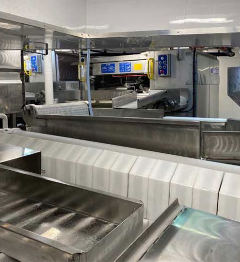 Sara Karin Carsoe Fish Processing Line