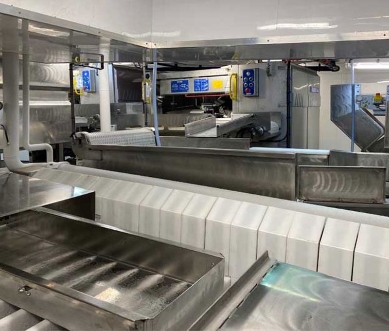 Sara Karin Carsoe Fish Processing Line