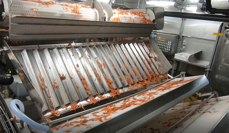 Carsoe Bycatch Separator