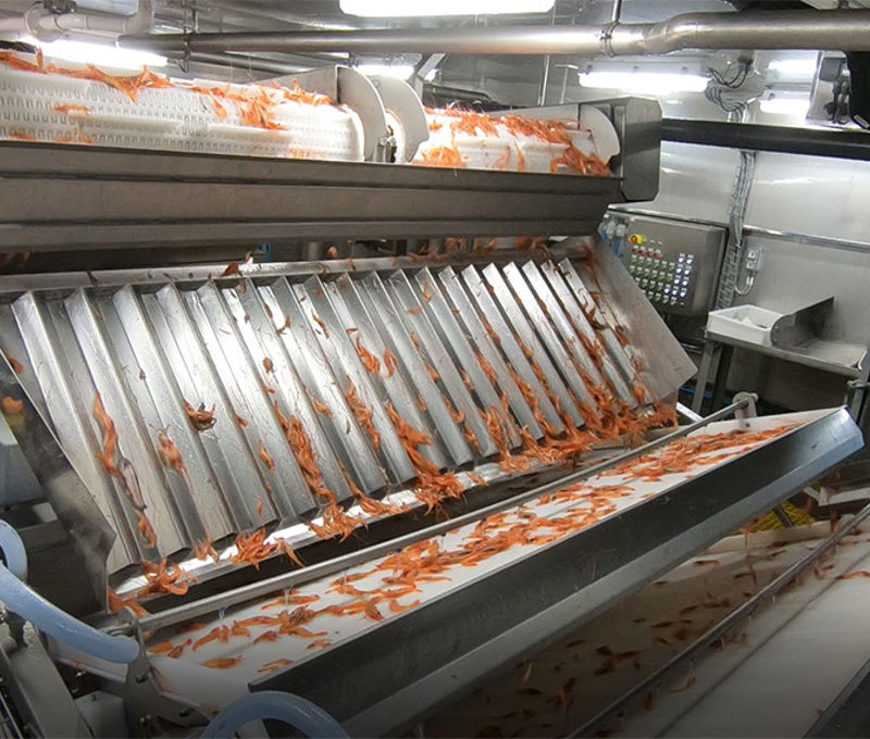 Carsoe Bycatch Separator