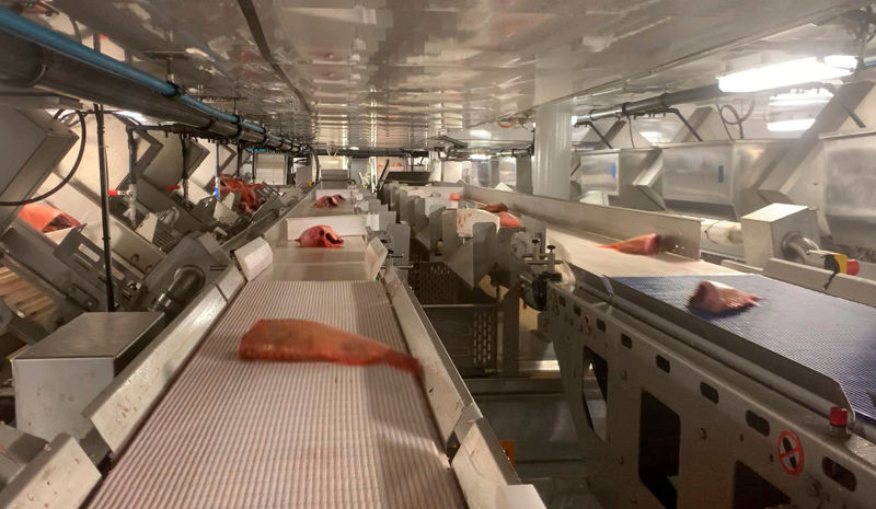 Carsoe Fish Grader System Live 1