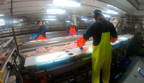 trimming line workstations_onboard_seafood