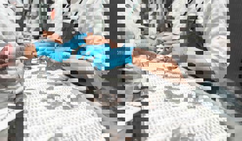 Carsoe Warm Water Shrimps