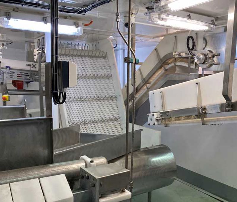 Sara Karin Carsoe Onboard Fish Factory