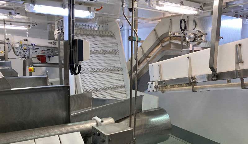Sara Karin Carsoe Onboard Fish Factory