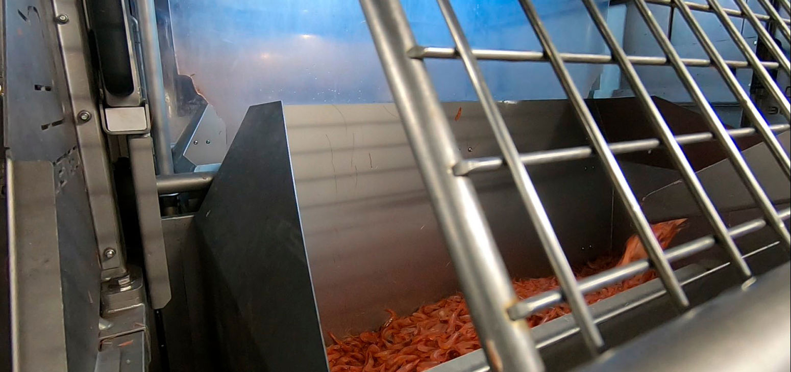 Carsoe Automatic Batch Cooker  (CS1114)