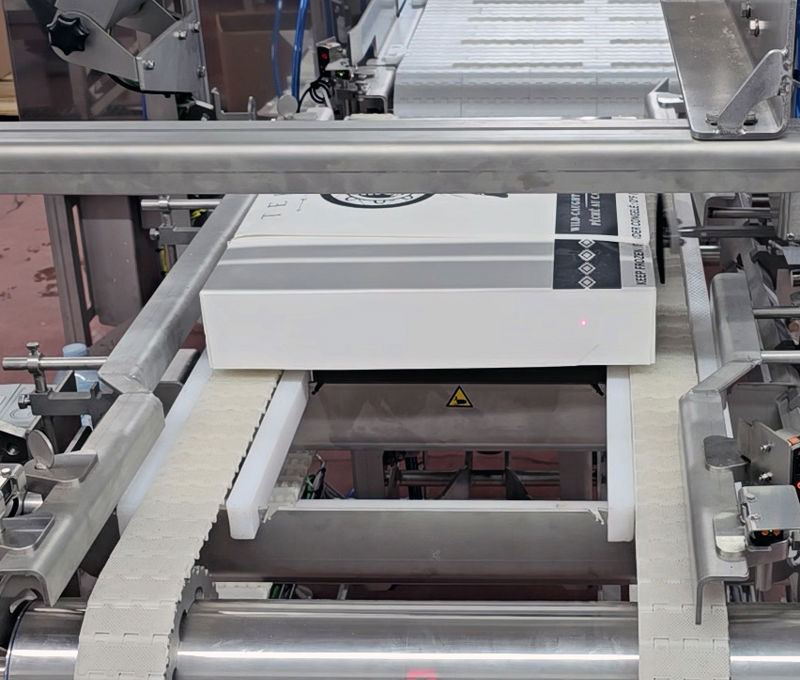 Carsoe Check Weigher CS3047