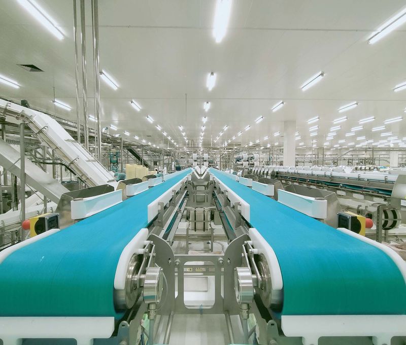 Industrial Food Processing