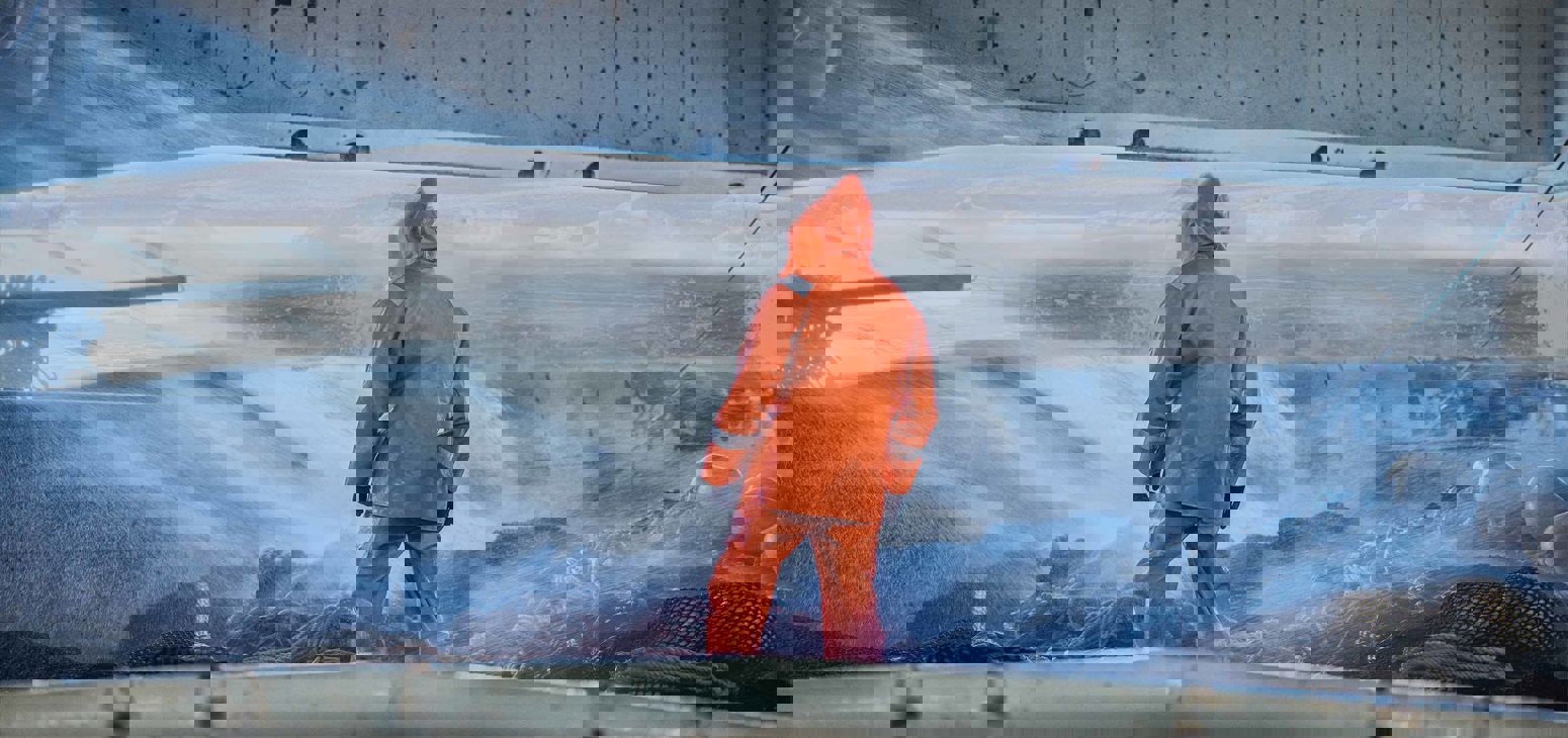 Carsoe Frontpage Image