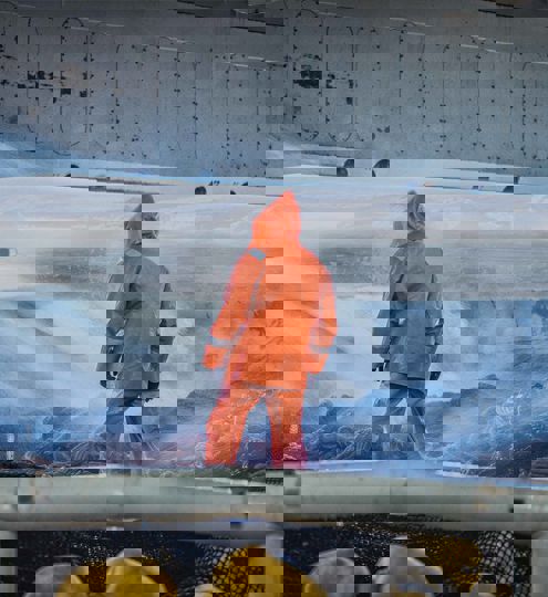 Carsoe Frontpage Image