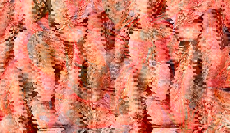 Carsoe Shrimp Factory