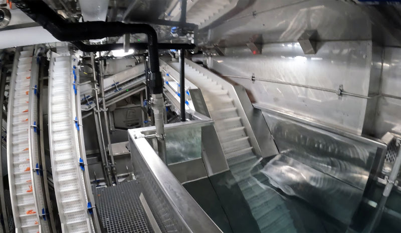 Conveyor Systems - Carsoe