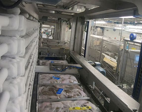 Carsoe Onboard North Star Automatic Horizontal Plate Freezer