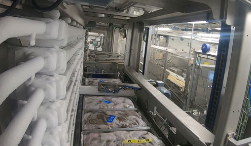 Carsoe Onboard North Star Automatic Horizontal Plate Freezer