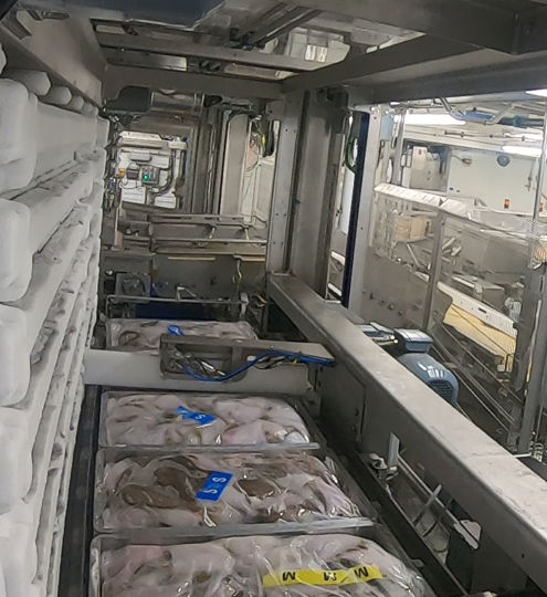 Carsoe Onboard North Star Automatic Horizontal Plate Freezer